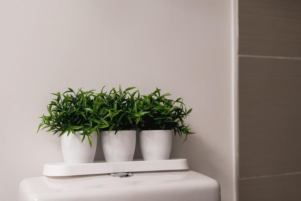 Apartment Enchantment In Yorkville *
