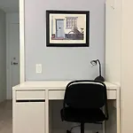 Modern Oasis In The Core