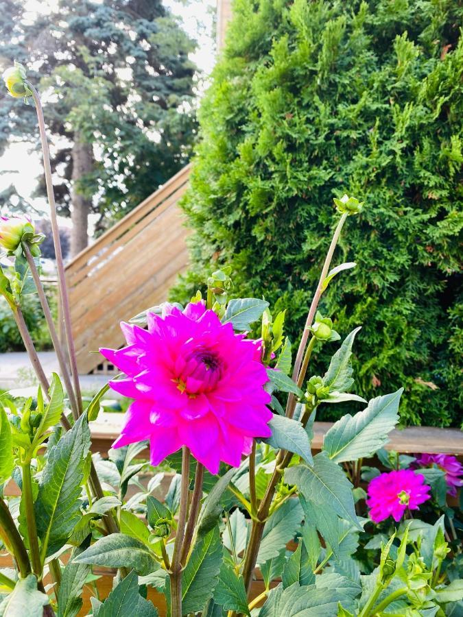 Lovely Ii Space Share A East York Canada Toronto