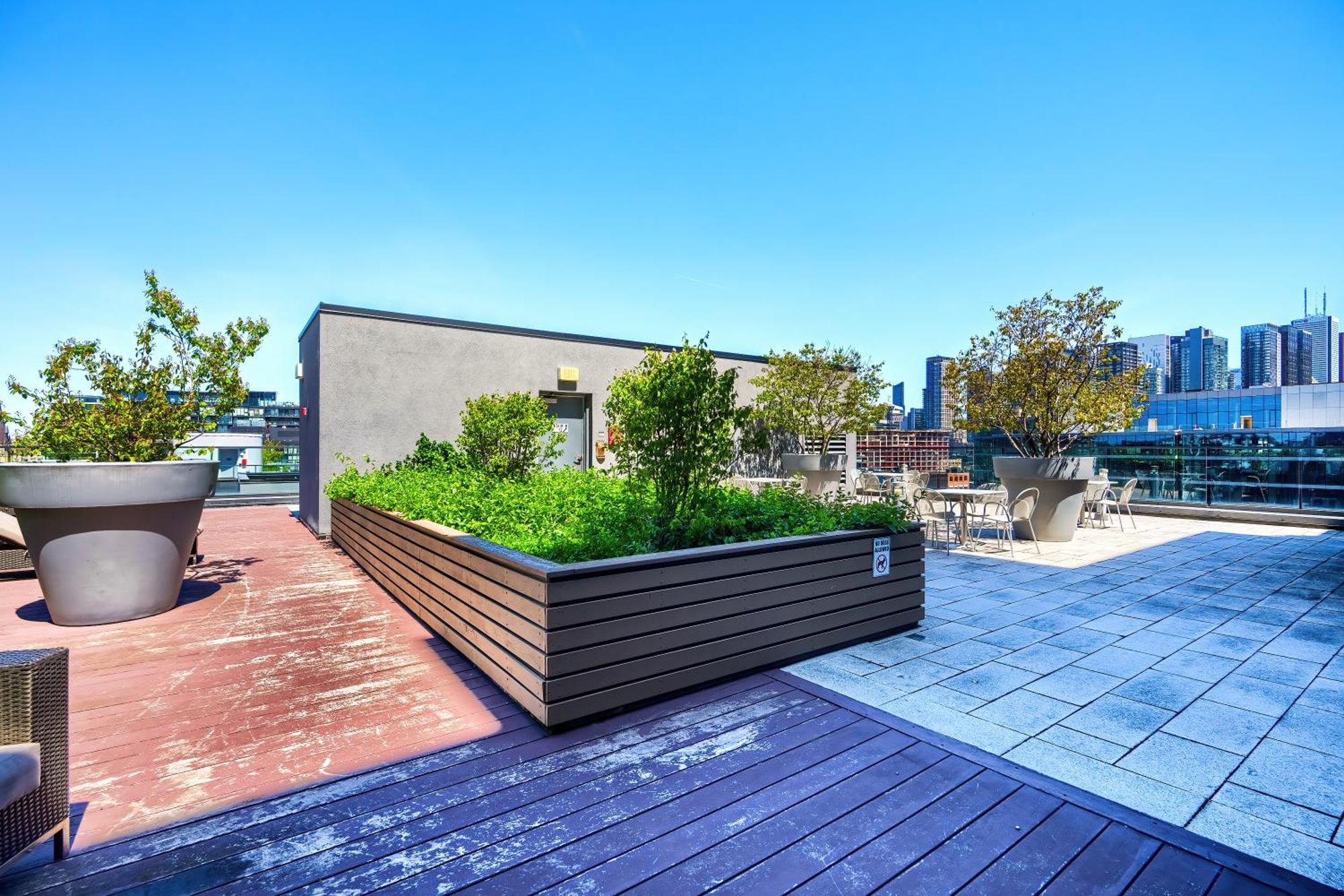 Apartment In The Heart Of Downtown Toronto! *
