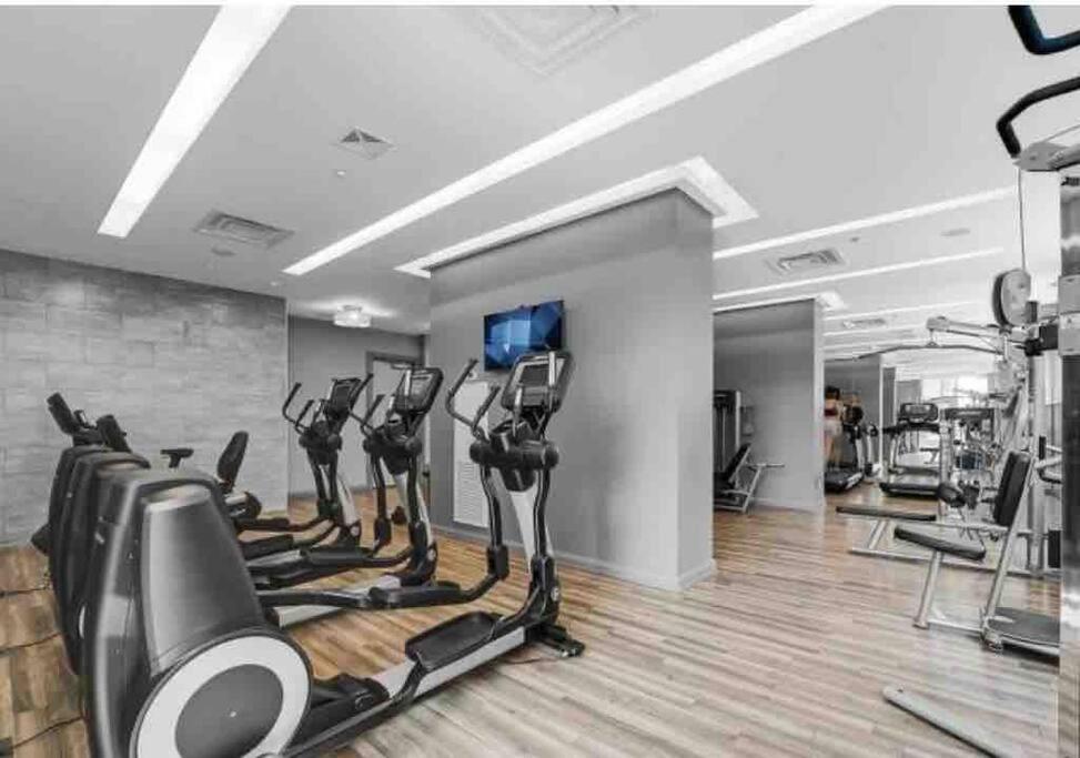 Entire Downtown + Gym - Yorkville