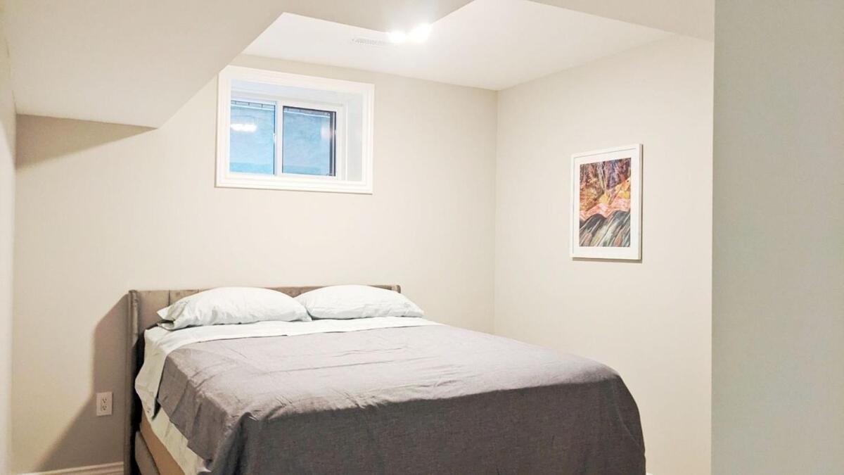 Modern New In Roncesvalles