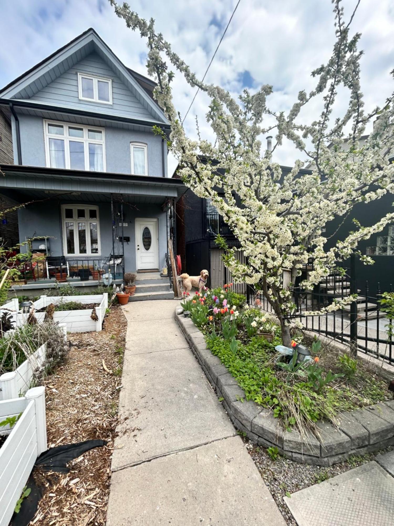 Garden Oasis * Toronto