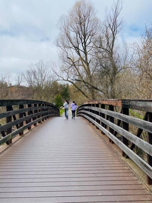 Serene Don River Retreat- 2br Suite, Private Patio, Free Breakfast & Parking Apartment
