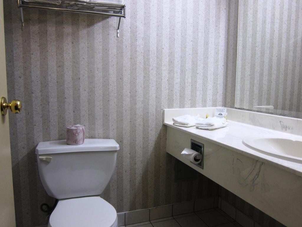Days By Wyndham East Lakeview 3*