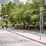Enchantment In Yorkville