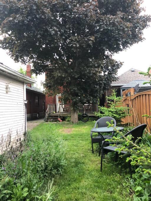 Entire Suite: Private Basement Studio Apartment! Apartment Toronto