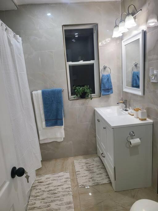 Apartment 3 Bedroom House In Downtown *