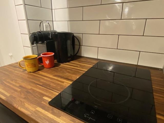 Lower Level Newly Renovated In Downtown Location Apartment