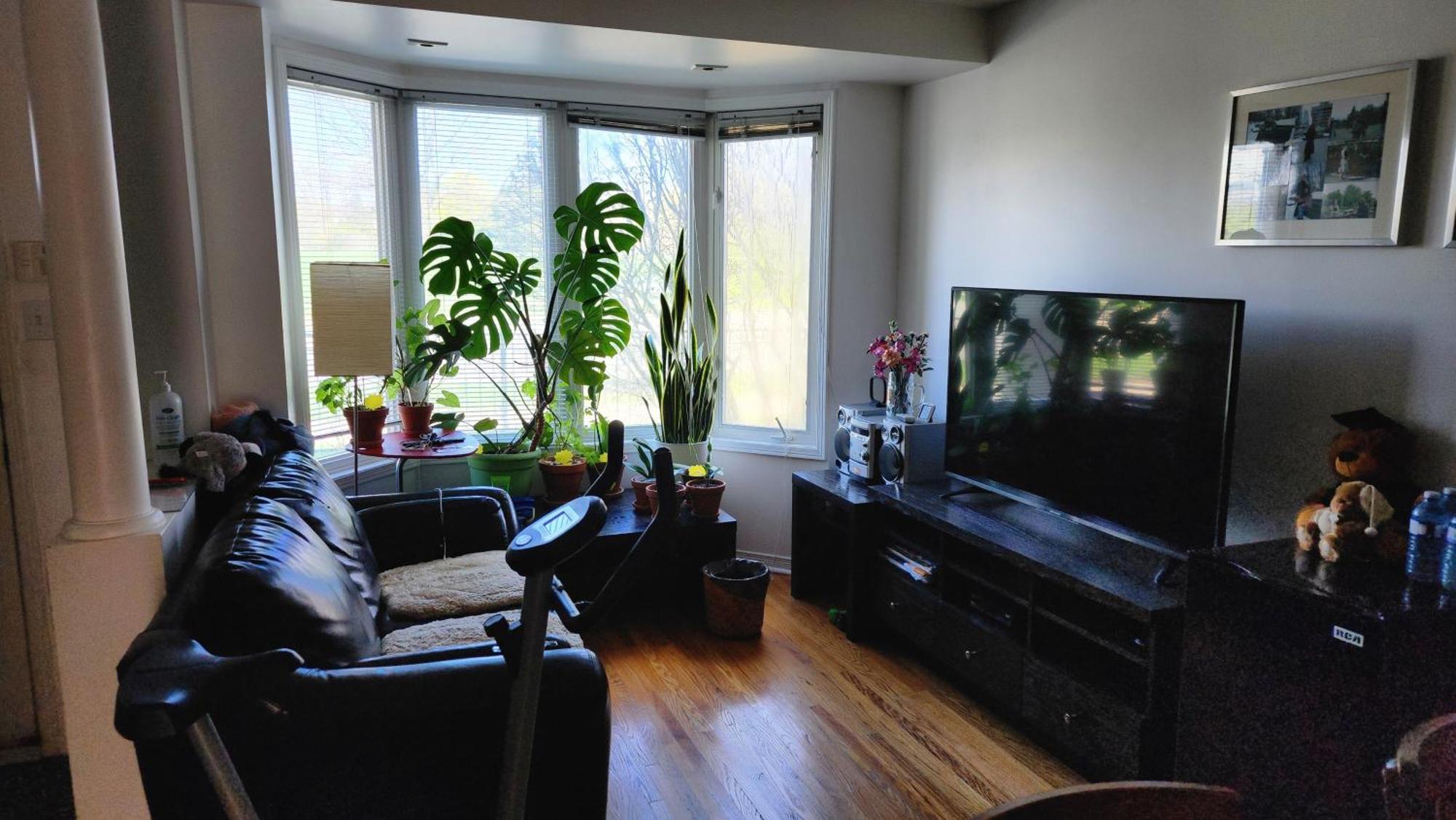 Scarborough Townhouse *