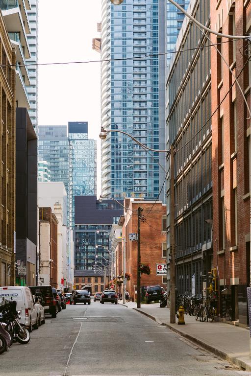 Gorgeous 2-bedroom In The Heart Of Downtown Apartment