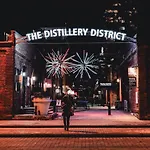 Downtown Toronto Oasis