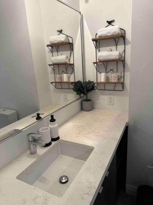 Entire Downtown + Gym - Yorkville Apartment Toronto