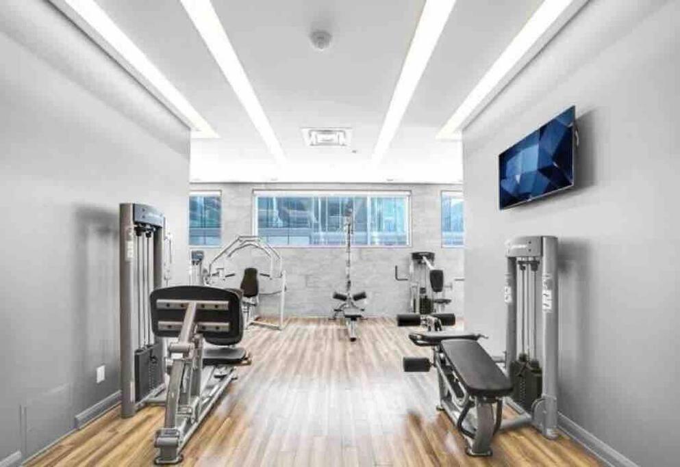 Entire Downtown + Gym - Yorkville Apartment