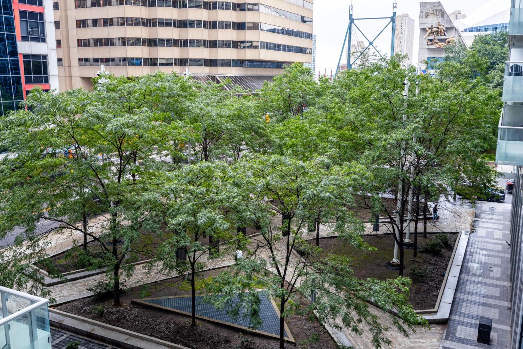 Apartment Lovely 1 Bedroom Suite,gym,pool, Mtcc, Cn Tower