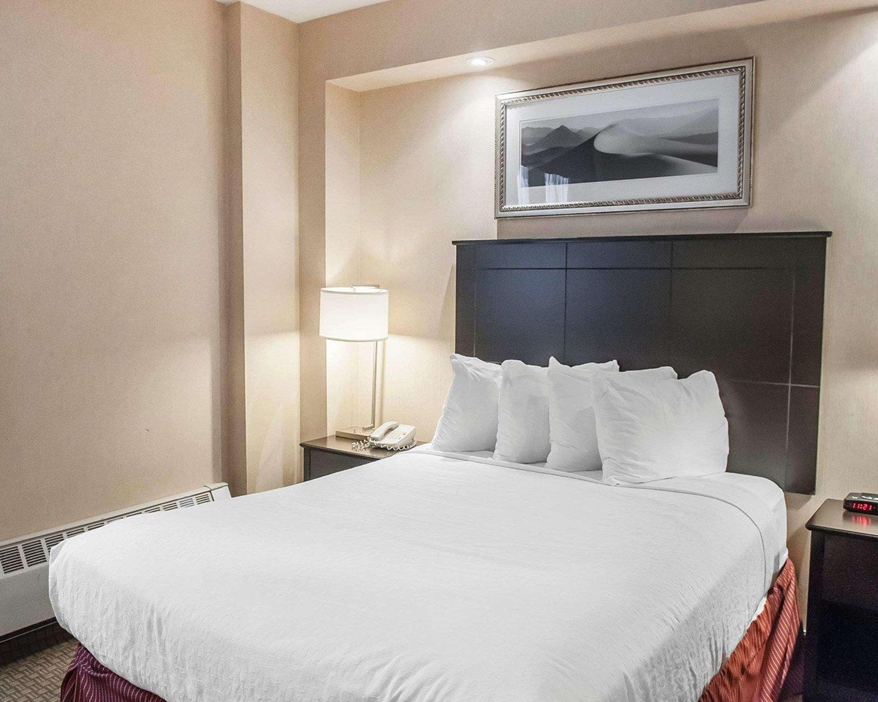 Econo & Downtown Hotel Toronto