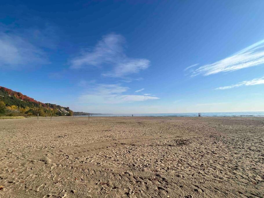 Beautiful House Near Bluffers Beach, 25 Minutes To Downtown, Free Parking, And Wifi Apartment *