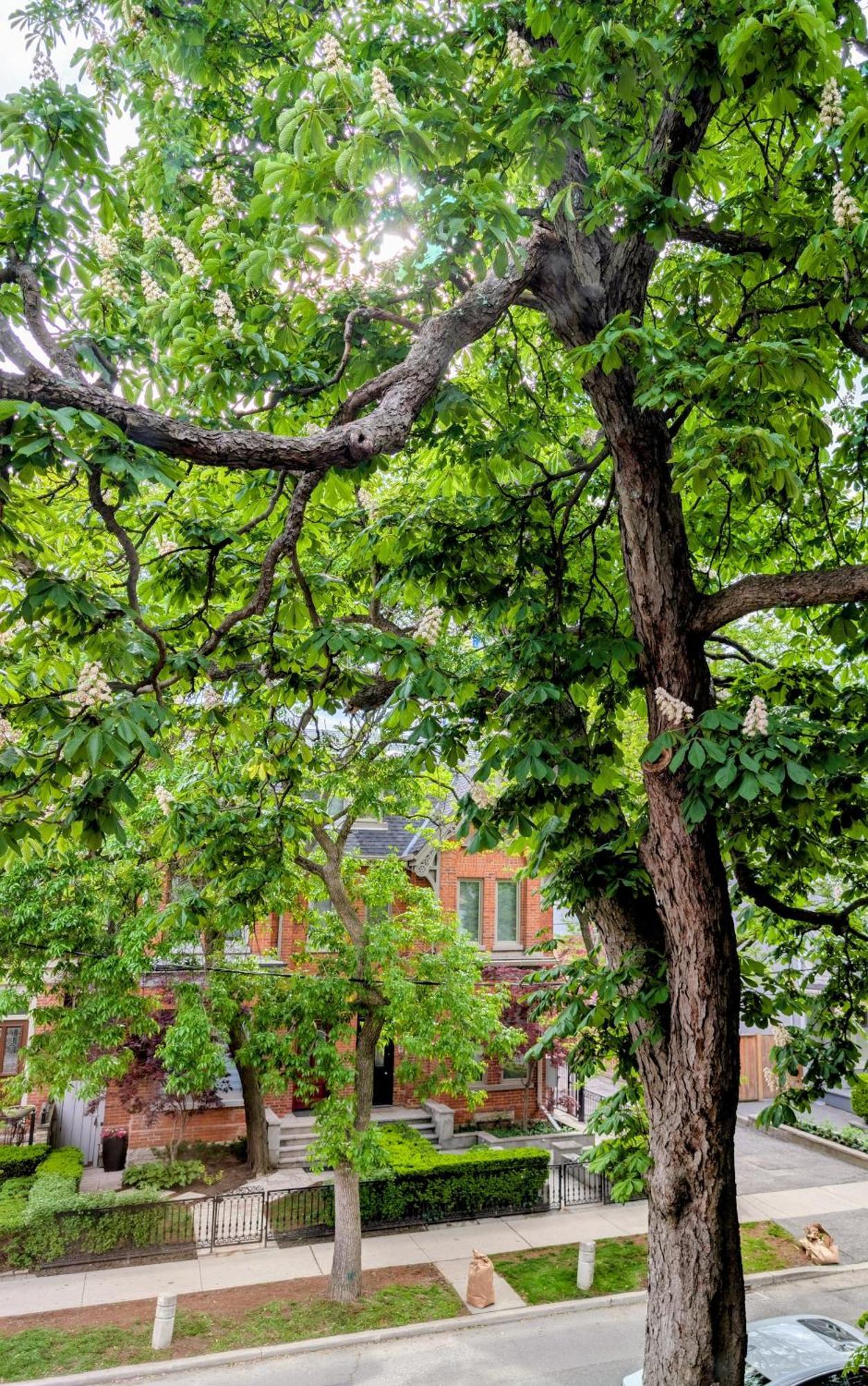 Hazelton Heritage Bed & Breakfast